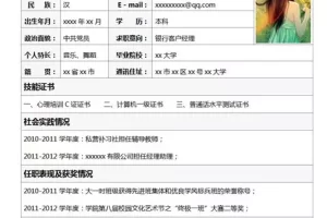 简约细致的银行客户经理Word简历模板(灰色白底)