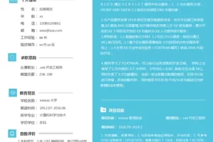 大气沉稳的.net开发工程师Word简历模板（天蓝白底）