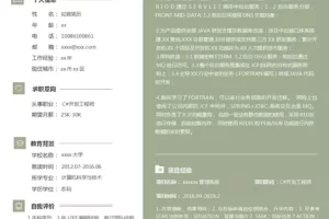 大气沉稳的C#开发工程师Word简历模板（浅褐白底）