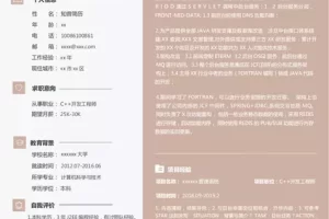 大气沉稳的C++工程师Word简历模板（褐色灰底）