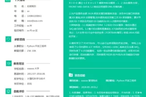 大气沉稳的Python开发工程师Word简历模板（亮青白底）