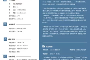 大气沉稳的数据仓库工程师Word简历模板（深蓝白底）