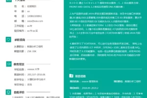 大气沉稳的数据分析工程师Word简历模板（暗青白底）