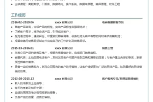 精美简约的单页电商客服专员个人Word简历模板(深蓝白底)