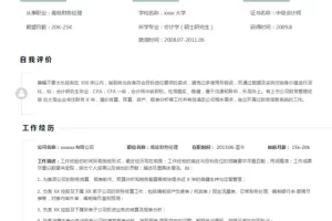 现代沉稳的财务会计Word简历模板免费下载(浅绿白底)