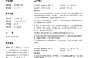现代时尚的财务会计出纳Word简历模板(白底黑字)